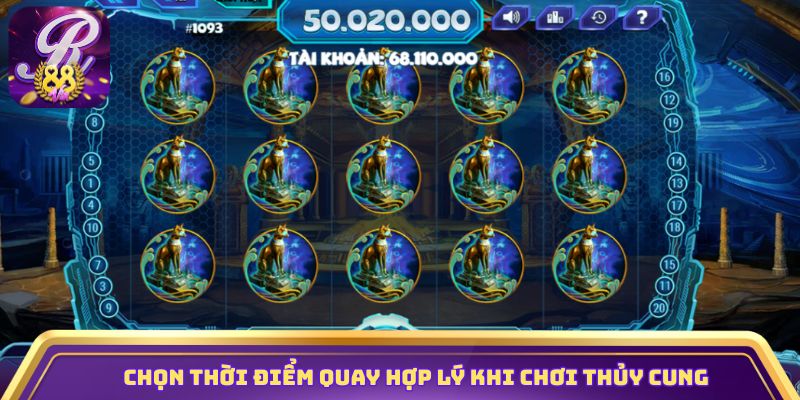 Chọn thời gian quay hợp lý khi chơi Thủy Cung