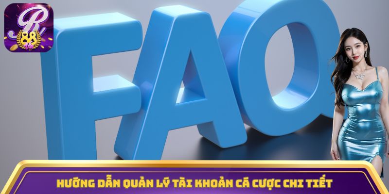 Hướng dẫn quản lý tài khoản cá cược chi tiết